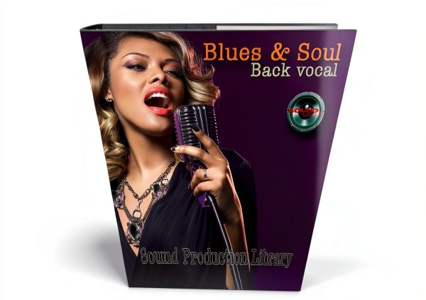 VocalBundle Audio Sampler by BrandName Musical Instruments-3