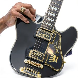 BluesGuitar Digital Sample Library for Music Producers-0