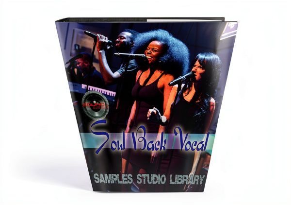VocalBundle Audio Sampler by BrandName Musical Instruments-8