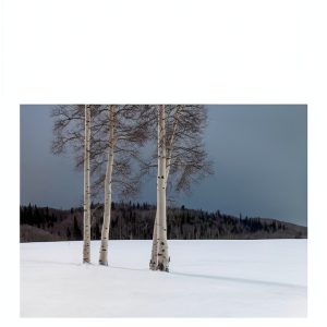 Windham Hill New Age Instrumental CD Holiday Classics Collection-0