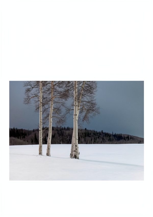Windham Hill New Age Instrumental CD Holiday Classics Collection-0